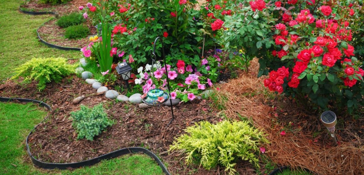 How Professional Landscape Installation Creates Long-Lasting Outdoor Beauty