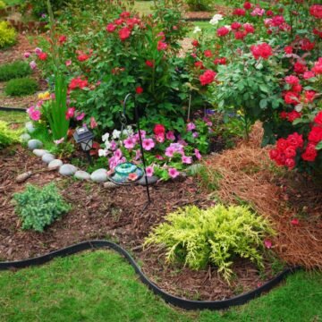 How Professional Landscape Installation Creates Long-Lasting Outdoor Beauty