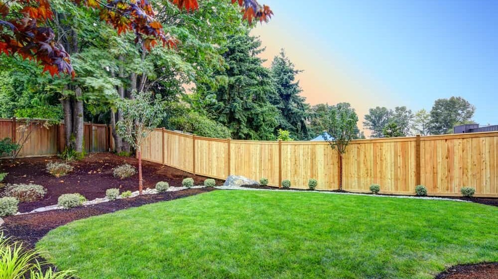Upgrade Your Yard, Boost Your Equity