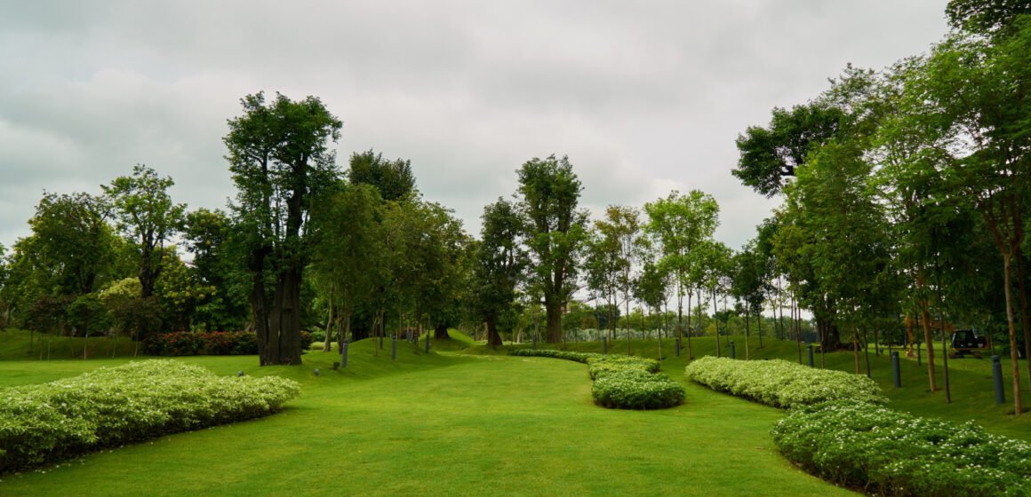 Landscape Design vs. Lawn Care: What Does Your Arizona Yard Need?