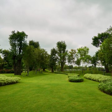 Landscape Design vs. Lawn Care: What Does Your Arizona Yard Need?