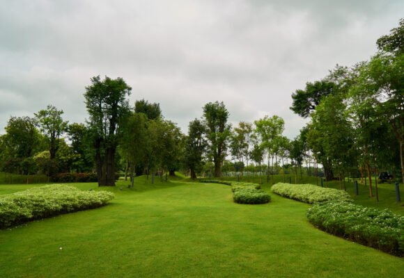 1735 Landscape Design vs. Lawn Care: What Does Your Arizona Yard Need?